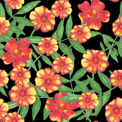 Marigold Flower Seamless Pattern. Hand Drawn Floral Digital Paper on Black Background.