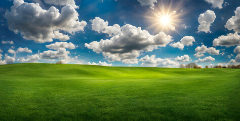 Fresh Springtime Lawn Under Sunny Sky - 756326286