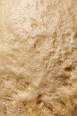 Raw dough from white wheat flour for making bread or bakery, natural culinary background close-up