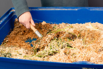 Cleaning the rabbit cage, scatter and straw with rabbit shit and leftover vegetables, taking care...