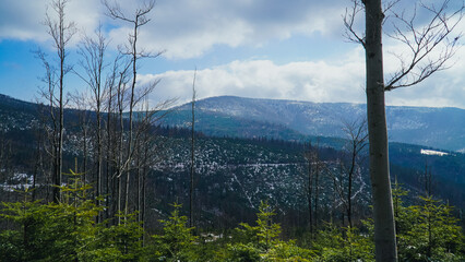 Góry, Beskid Śląski widok na Baranią Górę zimą