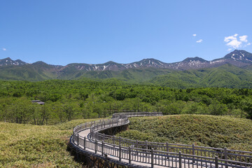 初夏の知床連山と知床五湖高架木道