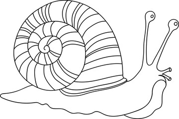 Snail Outline