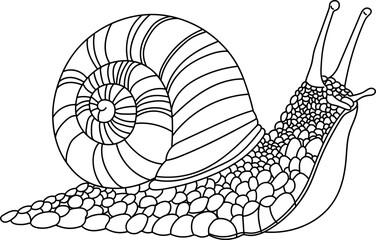 Snail Outline © Paradorn