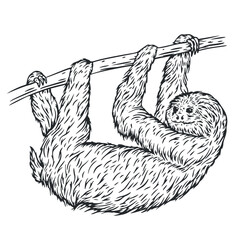 Hand drawn sloth in monochrome sketch style. Animal south america isolated on white background. Vector vintage illustration. - 756340815