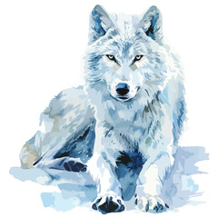 Watercolor Artic Wolf Clipart isolated on white background
