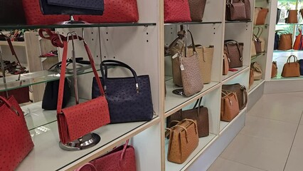 Multicolored ostrich leather bag in a futuristic design. Shop selling ostrich leather bag