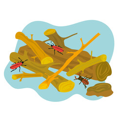 Illustration of fallen and abandoned trees to create a small nature reserve "deadwood reserve" for insects