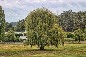 Port Arthur, Tasmania, Australia - 756349435