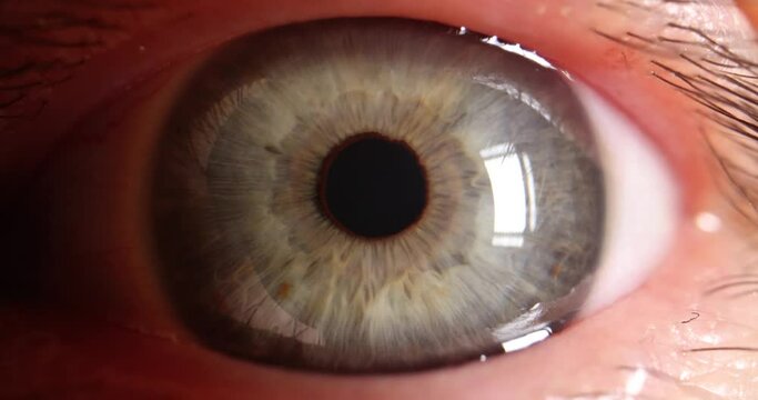 Human eye is light green. Vision correction technique, cataract and optical illusion concept