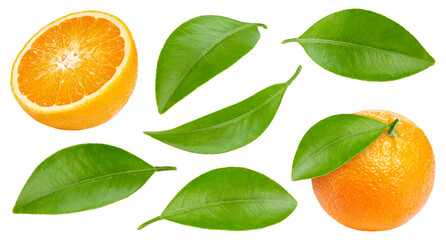 Fresh organic orange isolated