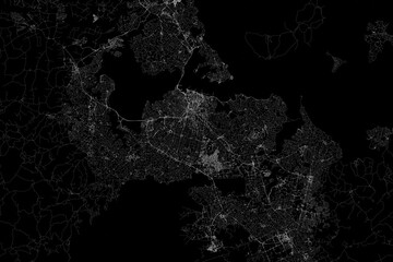 Stylized map of the streets of Auckland (New Zealand) made with white lines on black background. Top view. 3d render, illustration