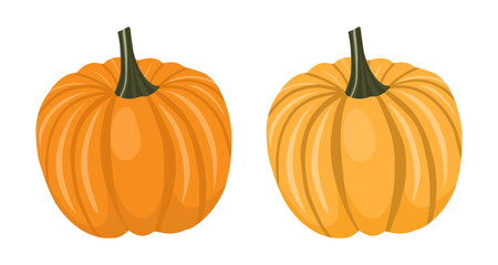 Set of pumpkins. Vegetable set. Vector illustration