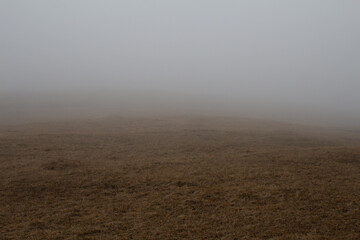 Obraz na płótnie Canvas campo nella nebbia