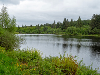 Fototapeta na wymiar Bishops Glen Reservoir in Dunoon, Argyll, Scotland