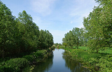A scenic summertime view of the River Chelmer in Essex, UK. 
