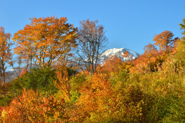 錦秋の枝折峠から望む新雪の越語駒ケ岳