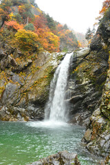 Fototapeta na wymiar 裏巻機渓谷の名瀑「不動の滝」
