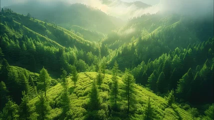 Foto op Plexiglas Green hills forest, trees, forest. Generative AI. © visoot