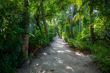 Sandy path near low white houses in tropical forest.