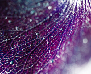 Abstract photo of the surface of rose petals on which is a glossy colorful liquid