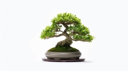 a bonsai tree with white background. Negative space. Free space for text. Generative AI