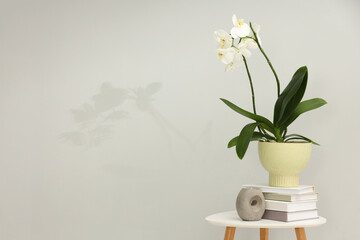 Blooming white orchid flower in pot, books and candle on side table near grey wall indoors, space...