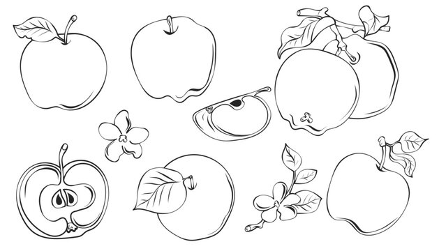 set of apple fruits