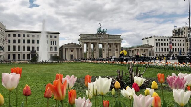 Wonderful panoramic view over colorful tulips in green grass past a fountain on the Berlin Brandenburg Gate. Spring time in Germany - paris square in Berlin city