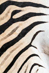 zebra skin texture - 756385809