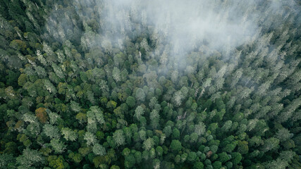  Aerial footage of beautiful high altitude forest mountain landscape
