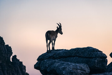 Sunset in the natural setting of El Torcal de Antequera. Andalusia. Spain.