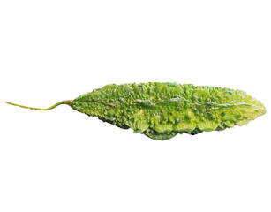 bitter gourd on transparent background