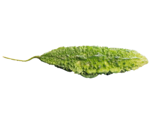bitter gourd on transparent background