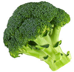 Broccoli isolated on a transparent background. Completely in focus.