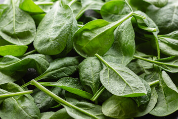 Fresh green spinach leaves with drops of water