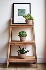 Three different kinds of succulents on a wooden shelf