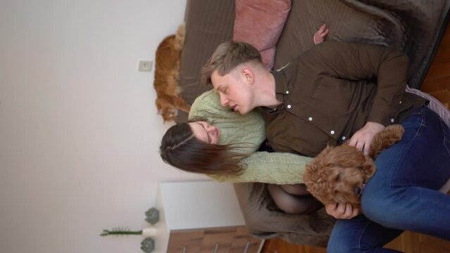 a young cockapoo couple cuddles in the living room