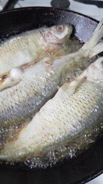 whole vobla fish frying in a cast iron skillet with oil at domestic kitchen.