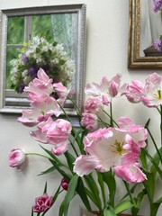 Beautiful blooming Tulips bouquet in a vase. Floral background. first flowering flowers