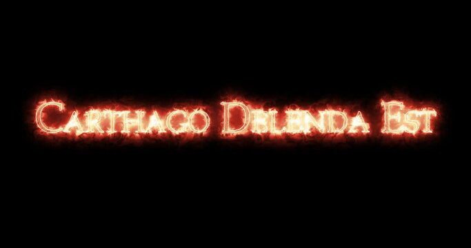 Carthago delenda est written with fire. Loop