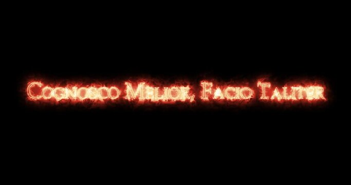 Cognosco Melior, Facio Taliter, I know the best, I do the worst, with fire. Loop