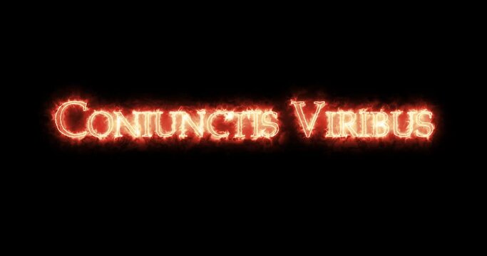 Coniunctis Viribus, with connected strength, written with fire. Loop