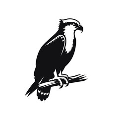  Osprey Bird Simple and Clean Logo Icon