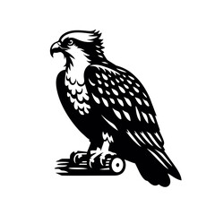  Osprey Bird Simple and Clean Logo Icon