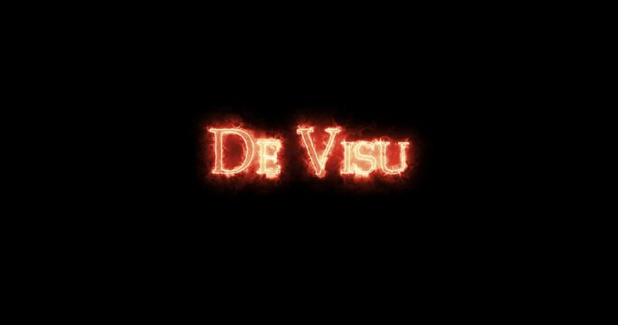 De Visu, It has been seen, written with fire. Loop