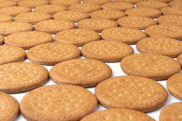 A lot of Maria biscuits on a white background. 