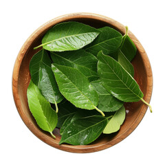 Citric acid in wooden plate with green leaves isolated on transparent background With clipping path.3d render