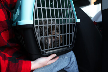 Woman with pet carrier travelling with her dog by car, closeup. Safe transportation