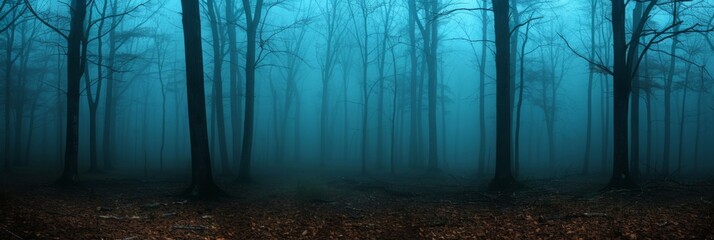 The edge of an eerily dark forest with dry black trees without leaves and creeping fog